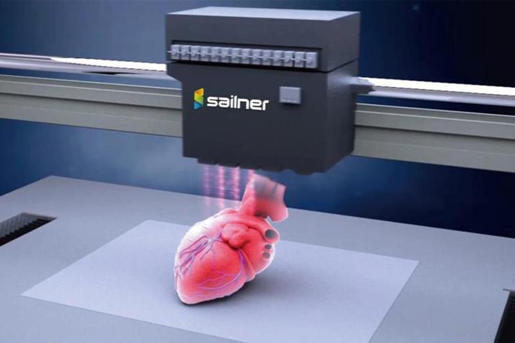 3D生物打印的芯片_生物_心肌 3D生物打印的芯片_生物_心肌 科学