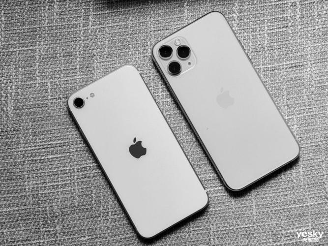用上A15芯片可能iPhone SE3才是真正的真喷鼻香机_苹果_美观 用上A15芯片可能iPhone SE3才是真正的真喷鼻香机_苹果_美观 通讯