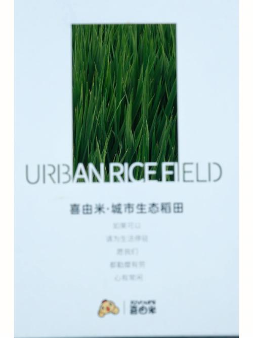 昔时芯片技能是若何拱手相让的？如今有中国公司想完整拿回来_合肥_技巧 昔时芯片技能是若何拱手相让的？如今有中国公司想完整拿回来_合肥_技巧 智能