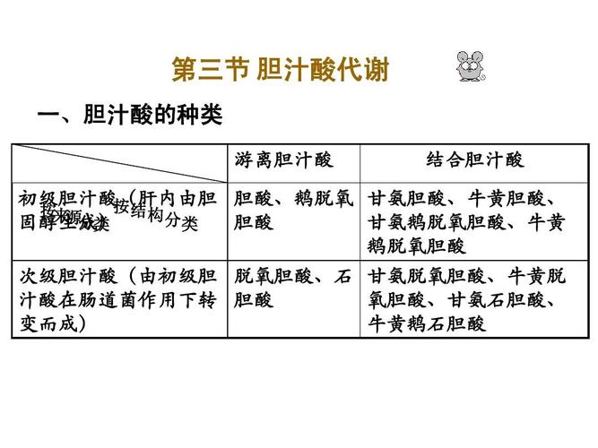 HBV感染与胆汁酸的关系_胆汁_胆酸 HBV感染与胆汁酸的关系_胆汁_胆酸 通讯