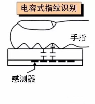 电容式、光学式、超声波三种指纹解锁到底有啥差异？_指纹辨认_指纹 电容式、光学式、超声波三种指纹解锁到底有啥差异？_指纹辨认_指纹 互联网