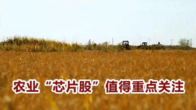 一场农业“芯片”的保卫战正在打响… | 大年夜家_食粮_全球 一场农业“芯片”的保卫战正在打响… | 大年夜家_食粮_全球 智能