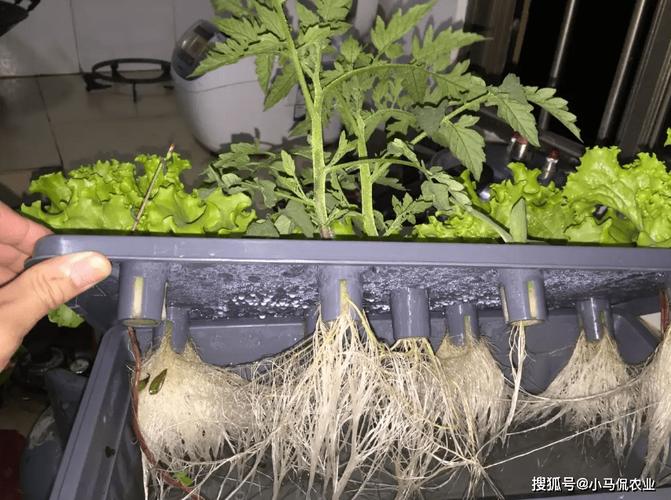 进修笔记适用于阳台农业的智能植物联网通知系统_电流_暗记 进修笔记适用于阳台农业的智能植物联网通知系统_电流_暗记 互联网
