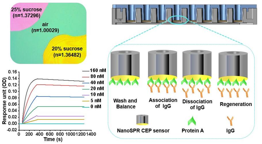 刘钢：颠覆性生物芯片底层立异 引领高通量NanoSPR分子互作系统_分子_抗体 刘钢：颠覆性生物芯片底层立异 引领高通量NanoSPR分子互作系统_分子_抗体 科学