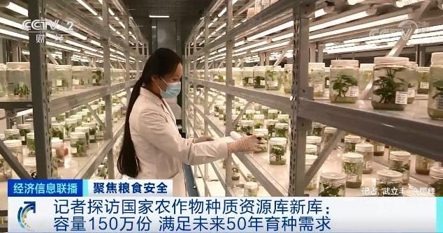 容量150万份！知足未来50年育种需求！中国农业“芯片”的秘密藏在这里→_种质_农田 容量150万份！知足未来50年育种需求！中国农业“芯片”的秘密藏在这里→_种质_农田 智能