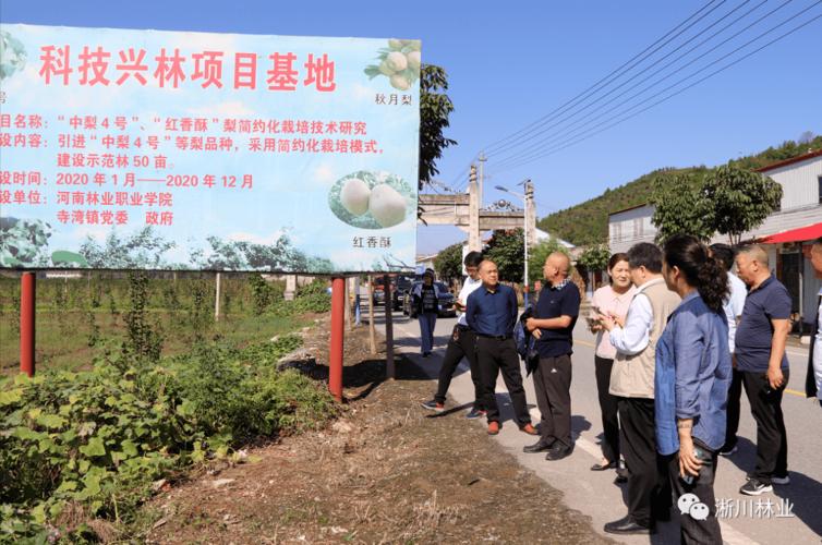 科技兴林 吉林森工红石林业局高效推进国家林木良种基地培植_林木_良种 科技兴林 吉林森工红石林业局高效推进国家林木良种基地培植_林木_良种 通讯