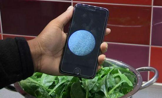 新型检测芯片可快速检测食物细菌含量_细菌_食物 科学 新型检测芯片可快速检测食物细菌含量_细菌_食物 新型检测芯片可快速检测食物细菌含量_细菌_食物 科学