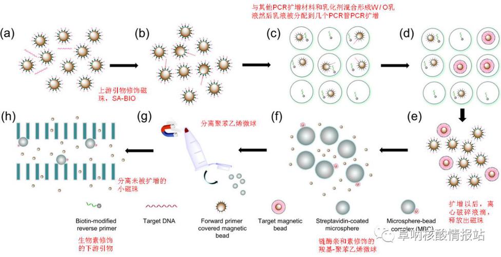你们三位到底是什么关系？固相芯片/膜芯片/玻璃芯片_芯片_区间 你们三位到底是什么关系？固相芯片/膜芯片/玻璃芯片_芯片_区间 智能