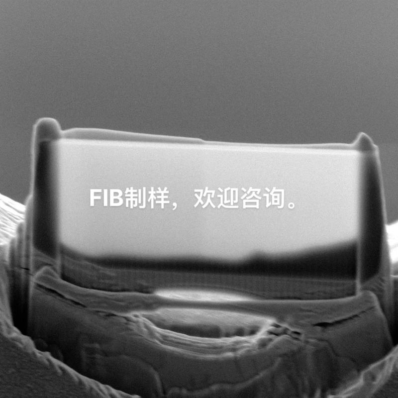 FIB常见应用明细及事理分析_样品_离子束 FIB常见应用明细及事理分析_样品_离子束 科学