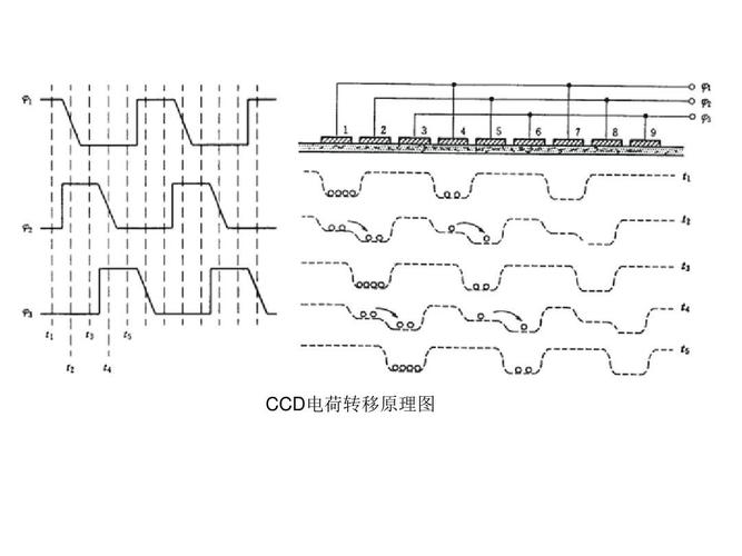 全帧型CCD的工作过程_电荷_暗记 全帧型CCD的工作过程_电荷_暗记 通讯