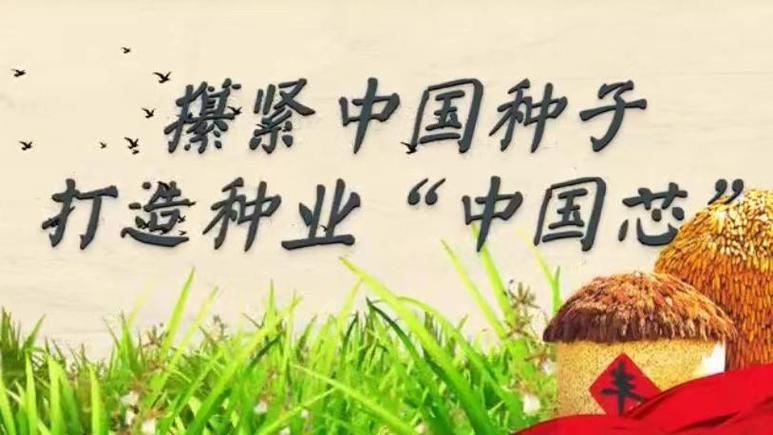 两会委员：种子是农业的“芯片”保障粮食安然种业立异是关键_农业_我国 两会委员：种子是农业的“芯片”保障粮食安然种业立异是关键_农业_我国 互联网