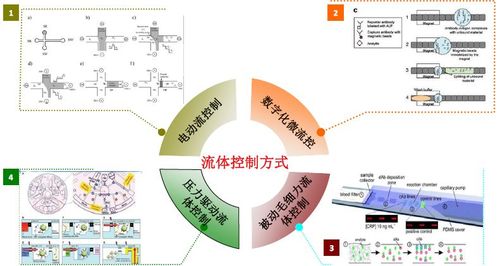 专注微流控+POCT+化学发光领域华迈兴微凭借“即时诊断”技能抗疫_融资_技巧 专注微流控+POCT+化学发光领域华迈兴微凭借“即时诊断”技能抗疫_融资_技巧 智能