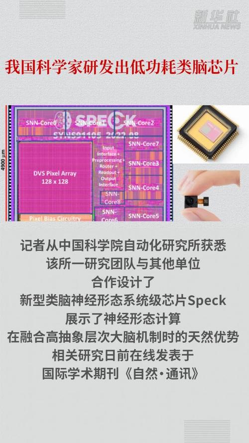 我国科学家首次实现功耗超低的AI芯片或将助力智能人机未来_芯片_脑神经 互联网 我国科学家首次实现功耗超低的AI芯片或将助力智能人机未来_芯片_脑神经 我国科学家首次实现功耗超低的AI芯片或将助力智能人机未来_芯片_脑神经 互联网