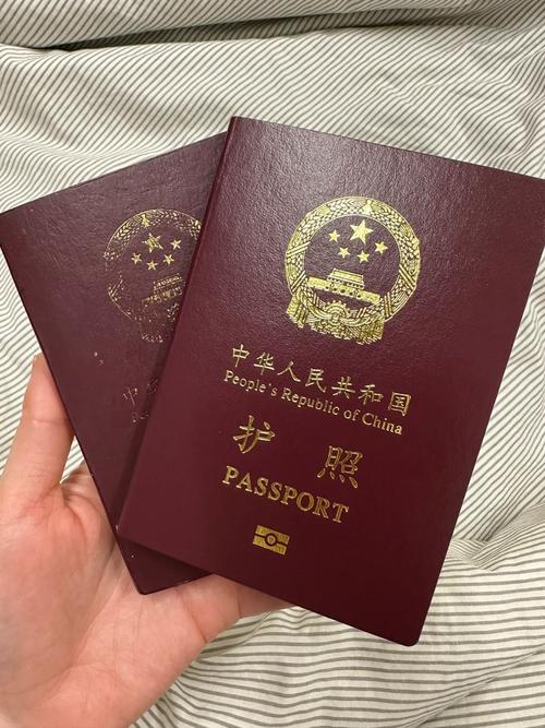 实用贴！在新加坡丢了中国护照怎么办？_护照_年夜使馆 实用贴！在新加坡丢了中国护照怎么办？_护照_年夜使馆 科学