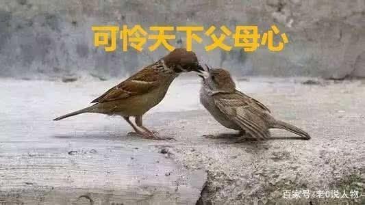 千里迢迢见临终父亲流泪冲动旁人没想到儿子却是冒牌的_儿子_白叟 千里迢迢见临终父亲流泪冲动旁人没想到儿子却是冒牌的_儿子_白叟 通讯