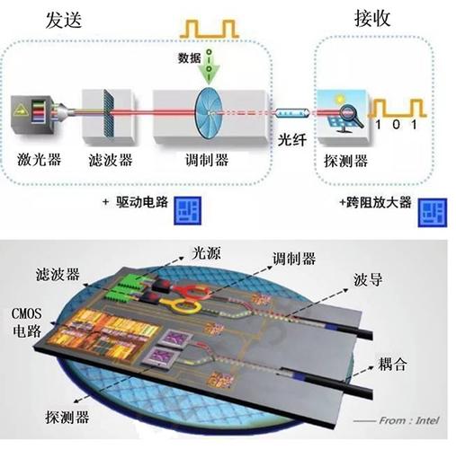 非硅基PlasticARM芯片设计可充分发挥物联网的潜力_内核_芯片 非硅基PlasticARM芯片设计可充分发挥物联网的潜力_内核_芯片 科学