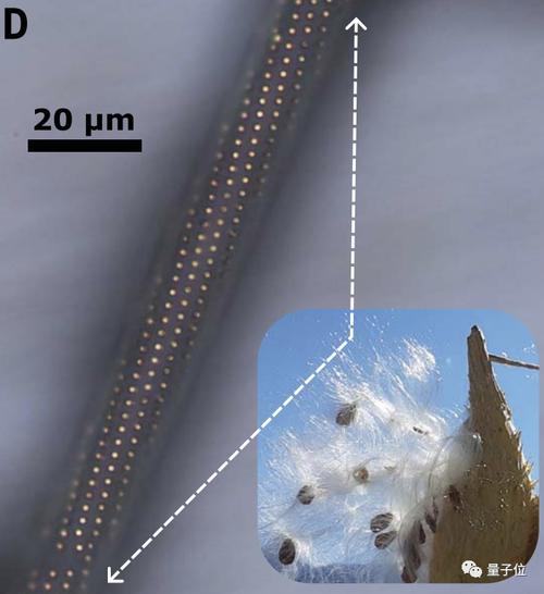 甜味芯片打印法理解一下：科学家用糖实现微电路曲面打印_电路_糖浆 甜味芯片打印法理解一下：科学家用糖实现微电路曲面打印_电路_糖浆 互联网