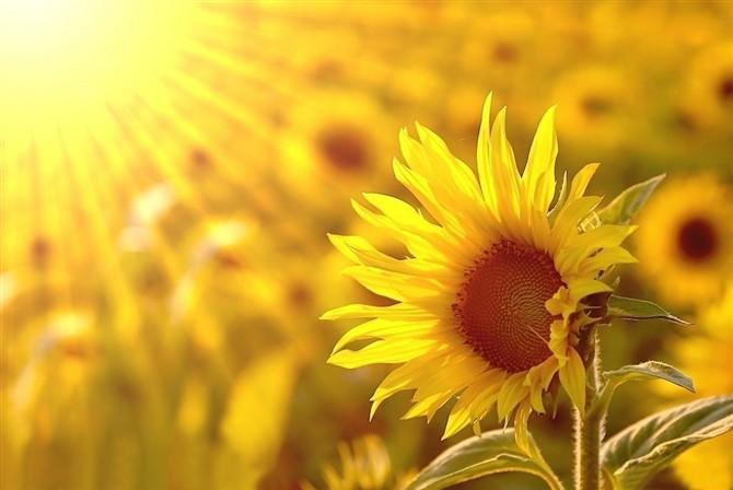 🌻聊聊大年夜家异常熟悉的BBE音效那些事🍃_电压_低频 🌻聊聊大年夜家异常熟悉的BBE音效那些事🍃_电压_低频 科学